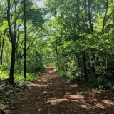 Kareems Forest Park Kasaragod 